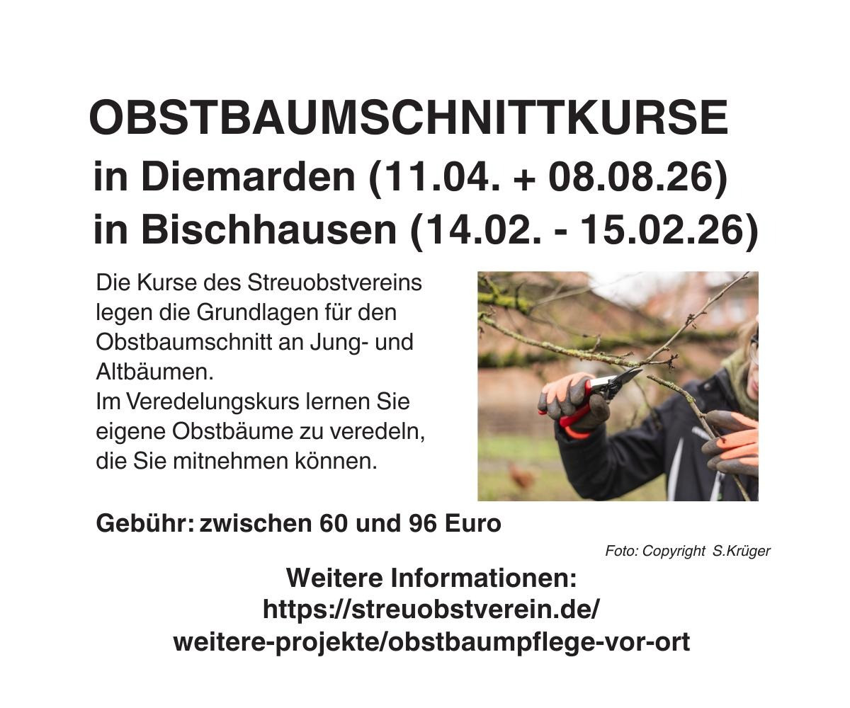 Obstbaumschnitt 2026